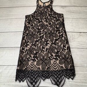 Express Black Lace High Neck Dress Scalloped Hem Sleeveless Cocktail Party M